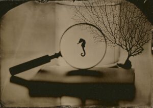 A magnifying glass with a seahorse on it.