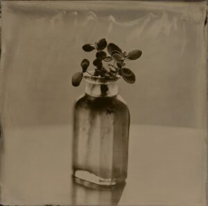 A glass bottle with some flowers in it