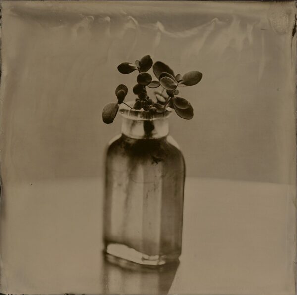 A glass bottle with some flowers in it