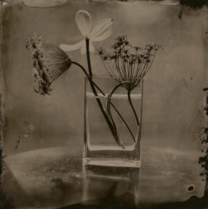 A black and white photo of flowers in a glass vase.