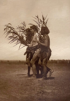 Two men are carrying branches in a field.