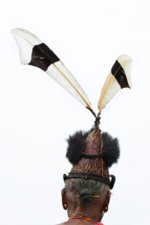 A hat with two feathers on top of it.
