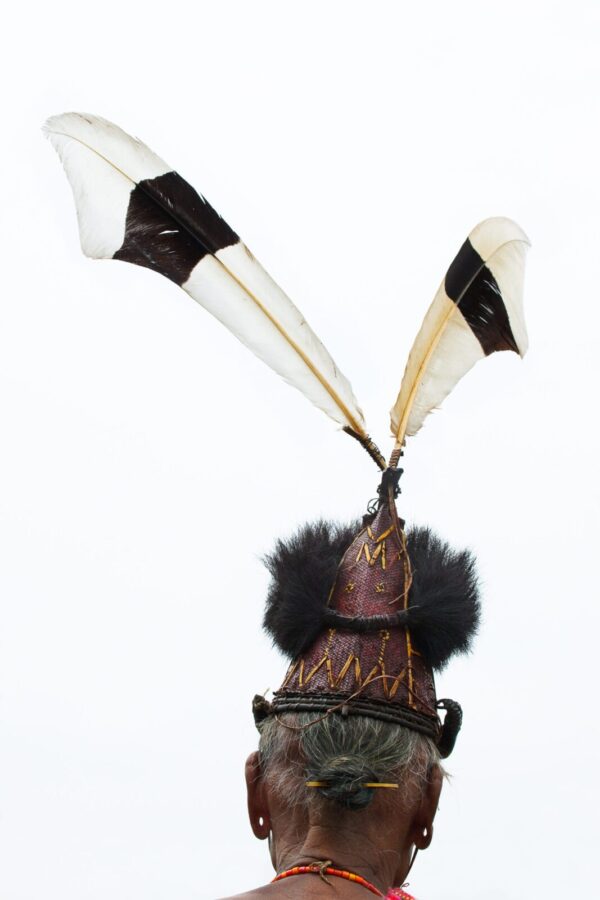 A hat with two feathers on top of it.