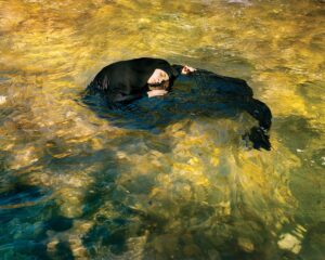 A dog is swimming in the water.