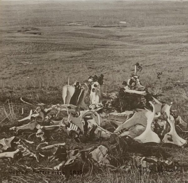 A group of people sitting on top of dead animals.