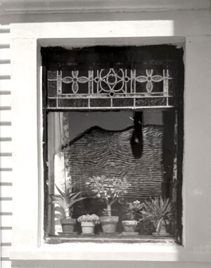 A black and white photo of a window with plants.