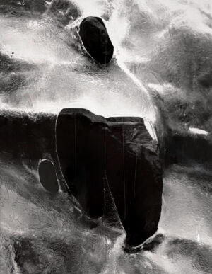 A black and white photo of an elephant