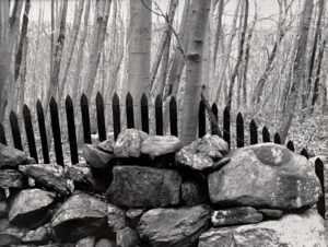 A black and white photo of a fence with trees in the background.