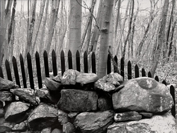 A black and white photo of a fence with trees in the background.