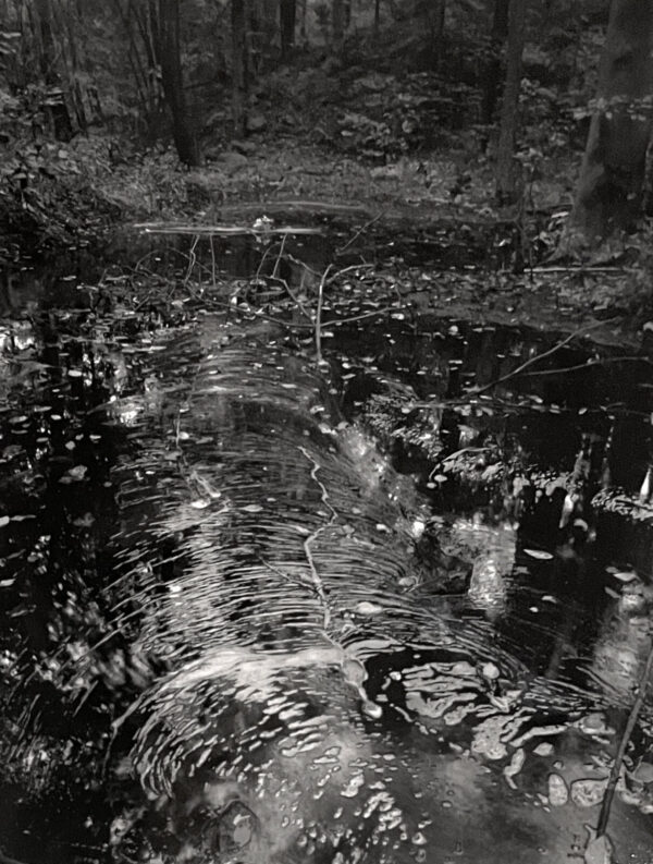 A black and white photo of water in the woods.