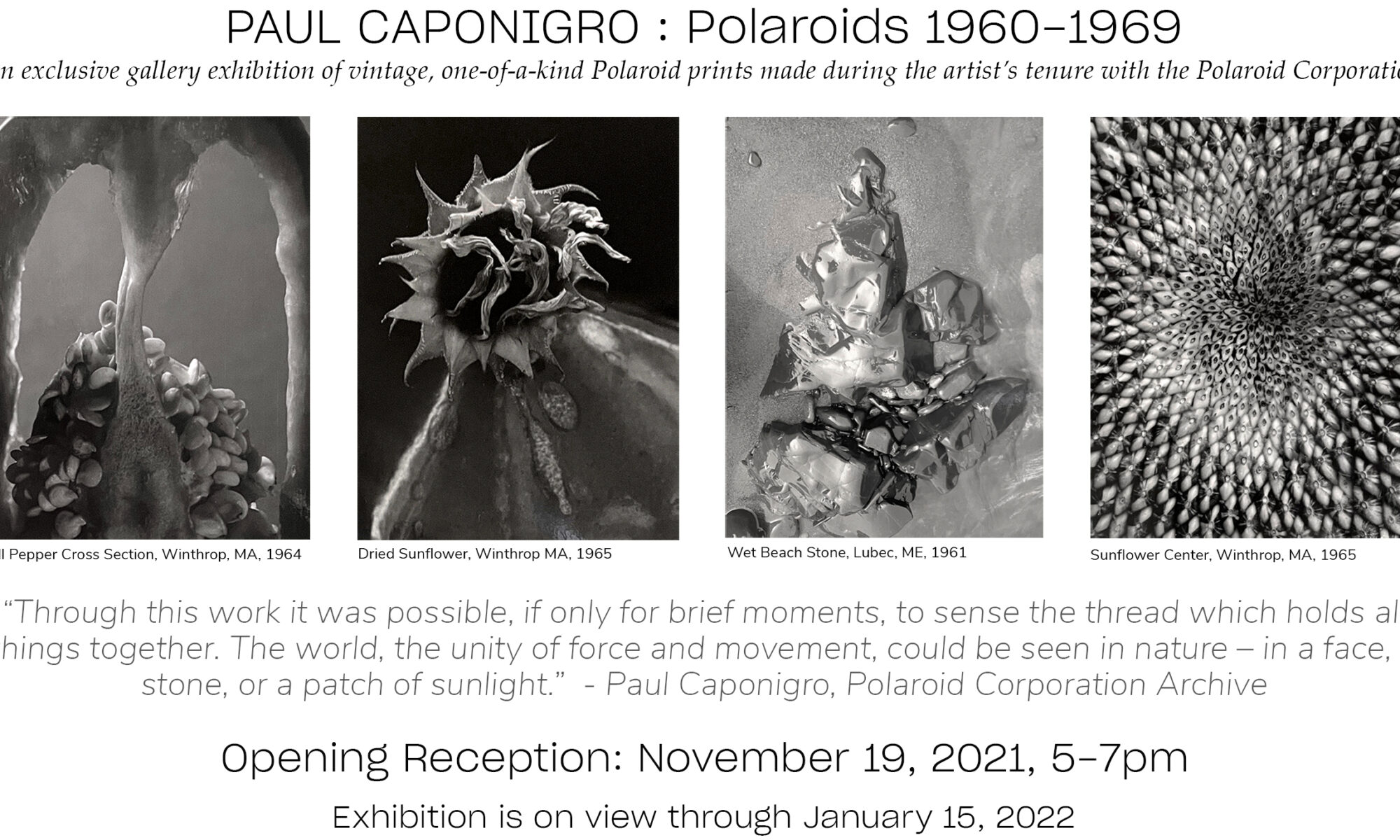 Exhibition of Paul Caponigro's vintage Polaroids.