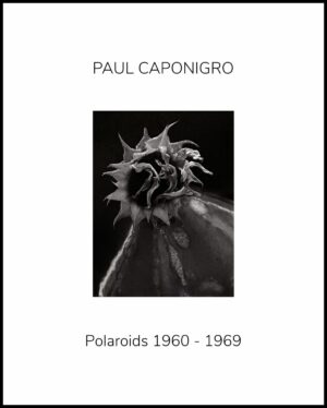 A black and white photo of a flower.