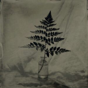 A fern in a glass vase on top of a table.