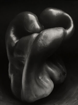 A black and white photo of two peppers.