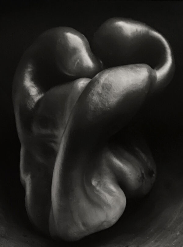 A black and white photo of two peppers.