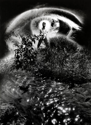 A cat 's eye is shown in the grass.