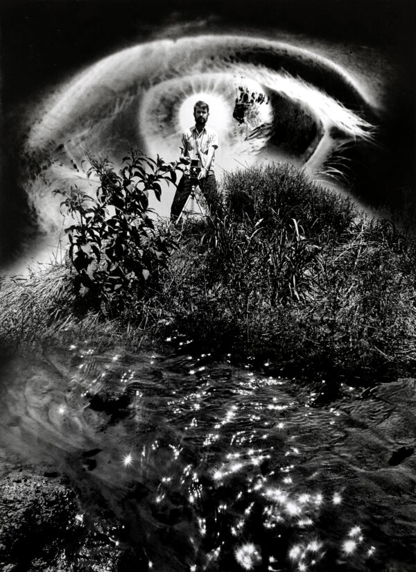 A cat 's eye is shown in the grass.