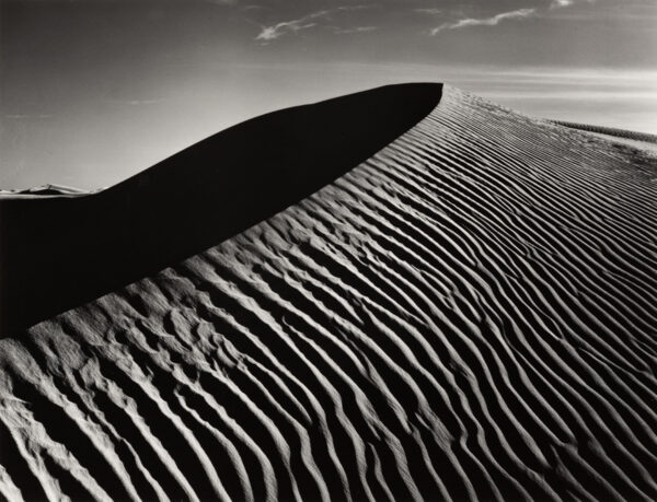 A black and white photo of the top of a sand dune.