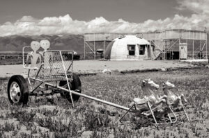A black and white photo of some birds in the grass.