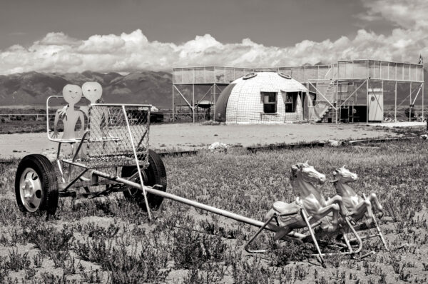A black and white photo of some birds in the grass.