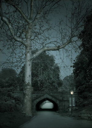 A tree with a light in it near a bridge.