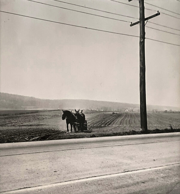 A horse and carriage on the side of a road.