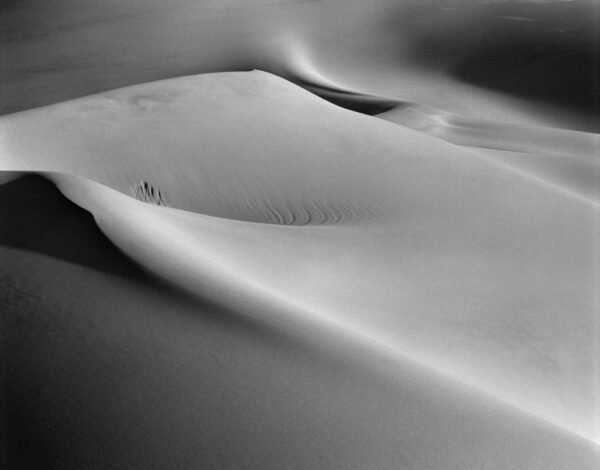 A black and white photo of some sand dunes