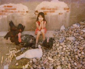 A little girl sitting on the ground with chickens.