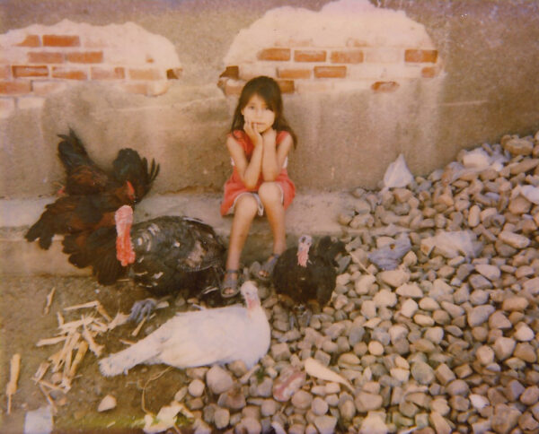 A little girl sitting on the ground with chickens.