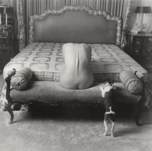 A dog and cat are standing next to the bed.