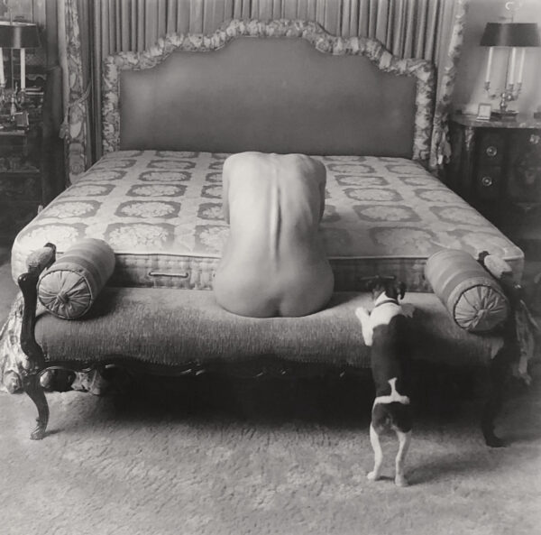 A dog and cat are standing next to the bed.