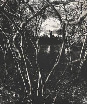 A black and white photo of trees in the foreground.