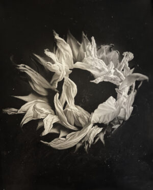 A black and white photo of feathers in the shape of a wreath.