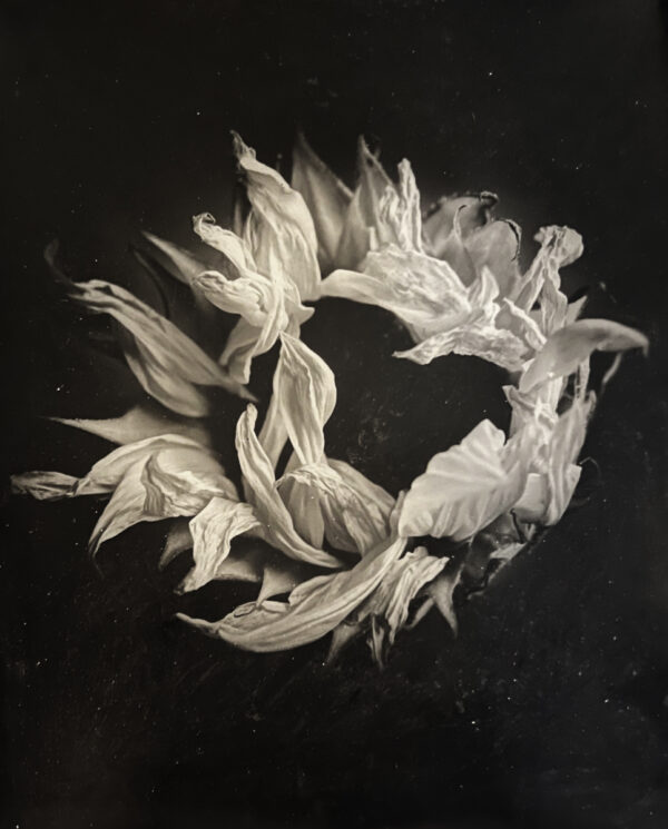 A black and white photo of feathers in the shape of a wreath.