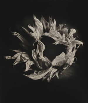 A black and white photo of a flower