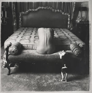 A dog standing on the floor next to a bed.