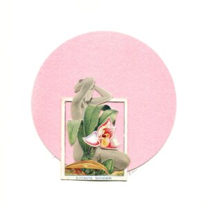 A pink circle with a picture of flowers in it.