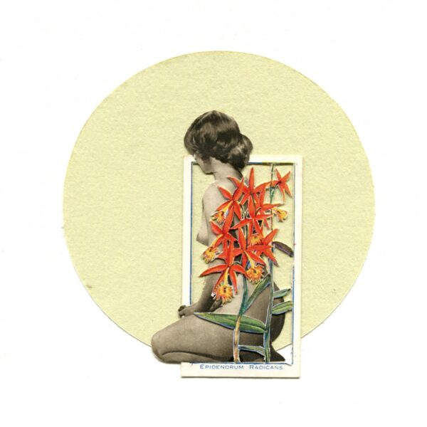 A collage of a woman holding flowers in front of her face.