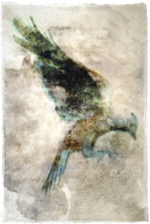 A painting of a bird with its wings spread.