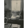A woman sitting on top of a couch in front of a window.