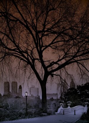 A tree with a view of the city in the background.
