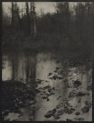 A black and white photo of trees reflected in water.