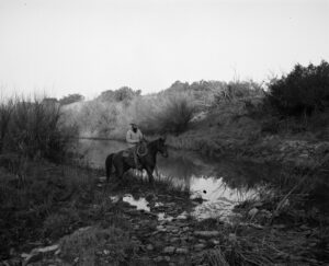 A man on horseback rides through the water.