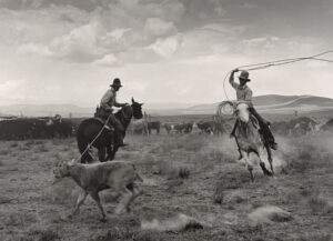 Two men on horses are herding a goat.