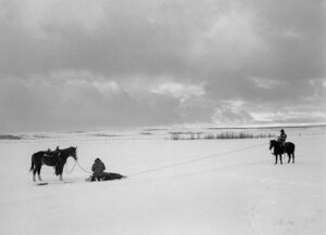 A man and two horses in the snow.