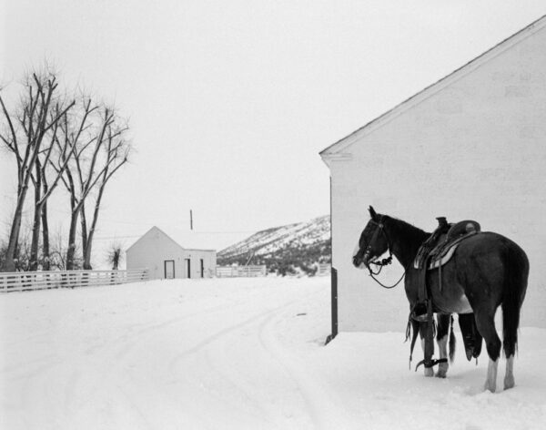 A horse standing in the snow next to a building.