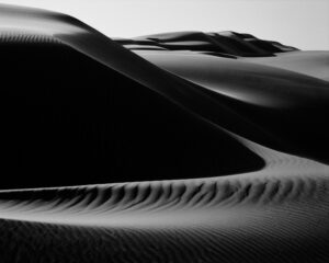 A black and white photo of the top of a dune.
