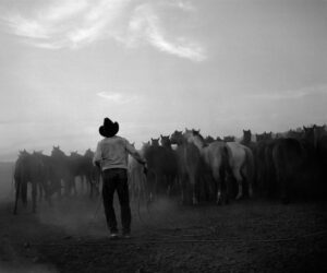 A man in cowboy hat standing next to horses.
