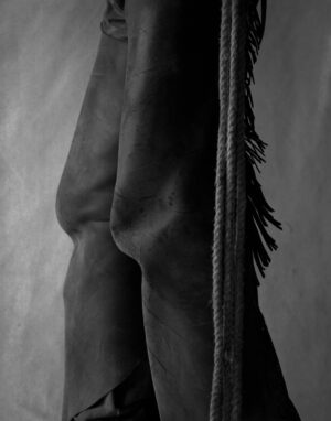 A black and white photo of the back end of a horse.