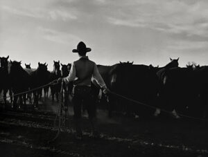 A man in cowboy hat standing next to cows.